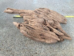 Ohio River Driftwood 11"x7.5"x4"